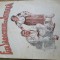 Fata Saracului cea Isteata- Ispirescu, princeps 1943