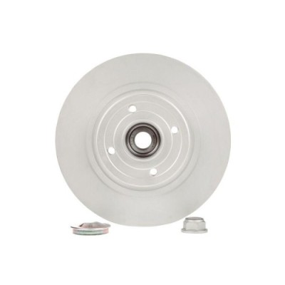 Set disc frana Renault Megane 2 Box / Estate (Km) 08.03-07.09, Megane 2 Estate (Km0/1) 08.03-08.12, Scenic 2 (Jm0/1) 06.03-07.10, Spate, 270X10mm, pl foto