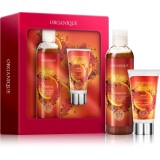 Organique Gift Set Spicy Delight set cadou de Crăciun pentru maini si corp