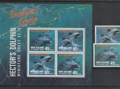 Fauna ,delfini ,Noua Zelanda. foto