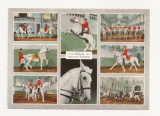 AT1 -Carte Postala-AUSTRIA- Viena, Spanish riding School , necirculata, Fotografie