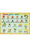 Plansa fructe, Autor Anonim