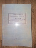 Atlas de anatomie comparativa vol 1- Vasile Ghetie, Eugen Pastea COPIE