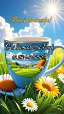 Ford C -max de vanzare din 2008, masina este intretinuta