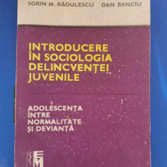 Introducere în sociologia delincventei juvenile - Sorin. M. Rădulescu