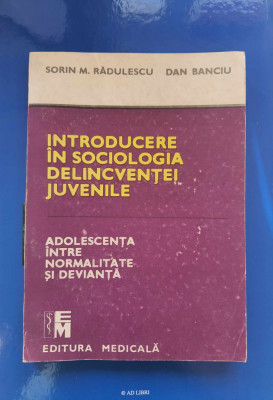 Introducere &amp;icirc;n sociologia delincventei juvenile - Sorin. M. Rădulescu foto