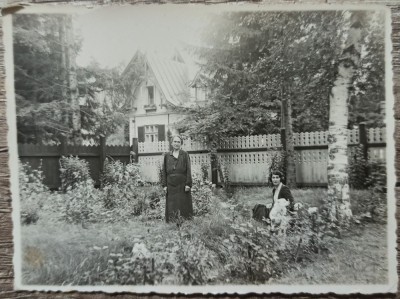 Scena din ograda, Romania interbelica// fotografie foto