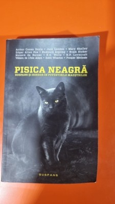 Pisica Nearga. Suspans si Horror in povestirile maestrilor - Dana Ionescu foto