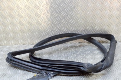 Garnitura ușă st&amp;acirc;nga spate TESLA MODEL 3 2018 OEM: 1090511-99-E | 15024412 foto