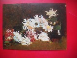 HOPCT 14918 FLORI CRIZANTEME -- STEFAN LUCHIAN [ 1868- 1916 ] -- CP PICTURA - -NECIRCULATA