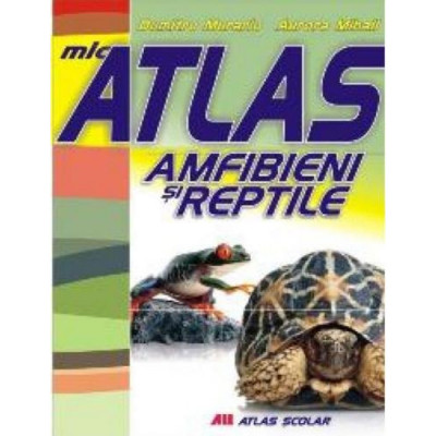 Mic atlas - Amfibieni si reptile - Aurora Mihail, Dumitru Murariu foto