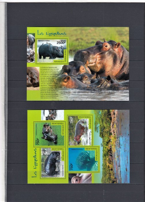 Togo - HIPOPOTAMI - BL + KB - MNH