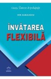 Invatarea flexibila - Ion Albulescu