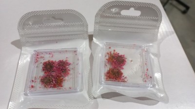 Decor pentru unghii, flori uscate D24 foto