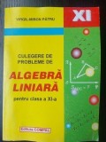 Culegere de probleme Algebra liniara pentru clasa a 11-a - Virgil-Miron Patru