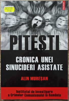 Pitesti, cronica unei sinucideri asistate - Alin Muresan foto