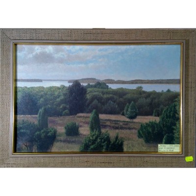 Pictura Peisaj Hagstrom 1968 foto