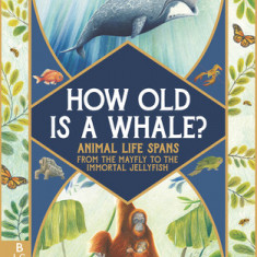 How Old Is a Whale?: Animal Life Spans from the Mayfly to the Immortal Jellyfish