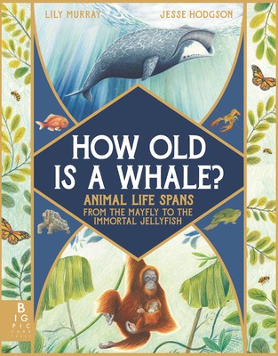 How Old Is a Whale?: Animal Life Spans from the Mayfly to the Immortal Jellyfish foto