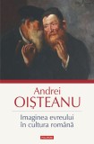 Imaginea Evreului &Icirc;n Cultura Romana, Andrei Oisteanu - Editura Polirom
