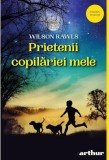 Prietenitii copilariei mele, Grupul Art