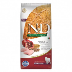 Farmina N&amp;D dog ANCESTRAL (AG) adult giant maxi, Chicken &amp; Pomegranate 12 kg