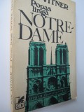 Popas langa Notre Dame - Ion Vitner