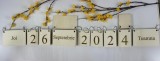 Calendarul pentru scolari