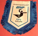 Fanion (protocol) Handbal -Federatie de Handbal (dimensiuni 38x22 cm)