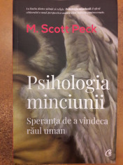 Psihologia minciunii. Speranta de a vindeca raul uman foto