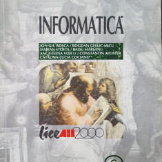 INFORMATICA MANUAL PENTRU CLASA A IX-A - Rosca