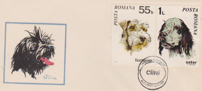 FDC CAINI