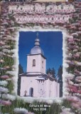 Flori in Calea Tineretului - Domnica Vranceanu, Editura Sf. Mina, Crestinism, Carte Religioasa, 2008, Romana