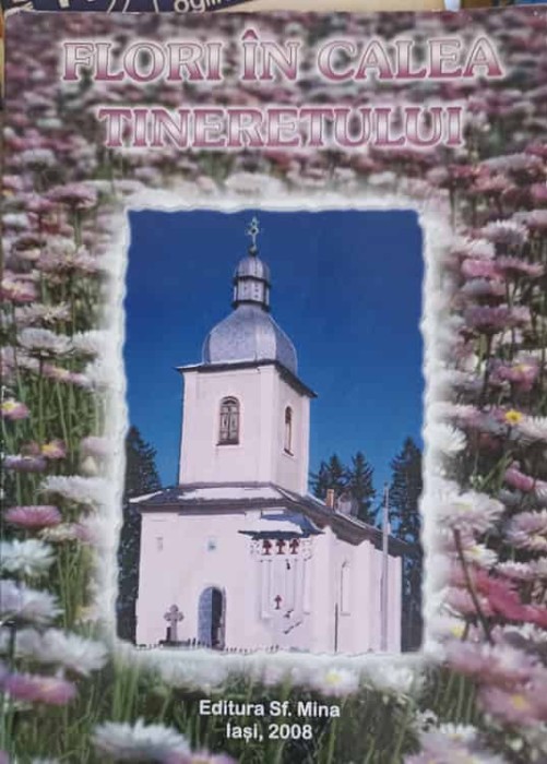 FLORI IN CALEA TINERETULUI-DOMNICA VRANCEANU-251254