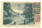 2501 - TURNU-ROSU, Defileul Oltului, Romania - old postcard - used - 1924 - TCV