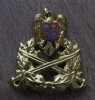 QW14 - Emblema militara / cuc - Uscat - piesa de colectie