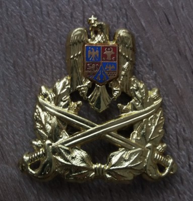 QW14 - Emblema militara / cuc - Uscat - piesa de colectie foto