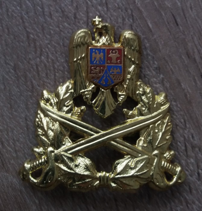 QW14 - Emblema militara / cuc - Uscat - piesa de colectie