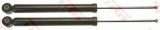 TRW JGT1082T TRW TWIN amortizor