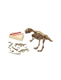 Set escavare fosile dinozaur, multicolor, 29x4x29cm, +3 ani