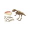 Set escavare fosile dinozaur, multicolor, 29x4x29cm, +3 ani