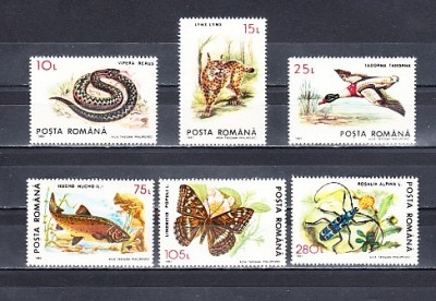 A11 TX1 3 - 1993 - Fauna protejata foto