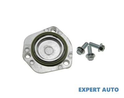 Capac senzor baie ulei vw, audi, skoda, seat UNIVERSAL Universal #1 foto
