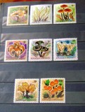FLORA -30 EURO