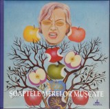 AS - DORU MAXIMOVICI - ȘOAPTELE MERELOR MUȘCATE