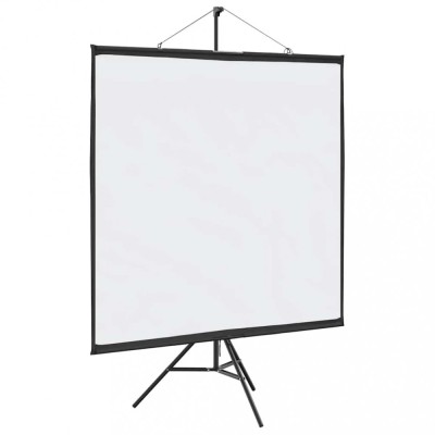 vidaXL Ecran de proiecție cu trepied 81 inch 1:1 foto