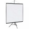 vidaXL Ecran de proiecție cu trepied 81 inch 1:1 4101055