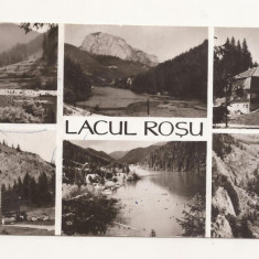 RF34 -Carte Postala- Lacul Rosu, format lung, circulata 1968