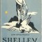 Shelley - Dan Grigorescu
