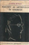 Cumpara ieftin Portret al artistului in tinerete - James Joyce
